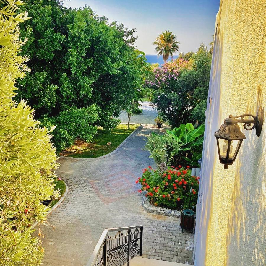 Bare Hill Holiday Apartments Krini Екстер'єр фото